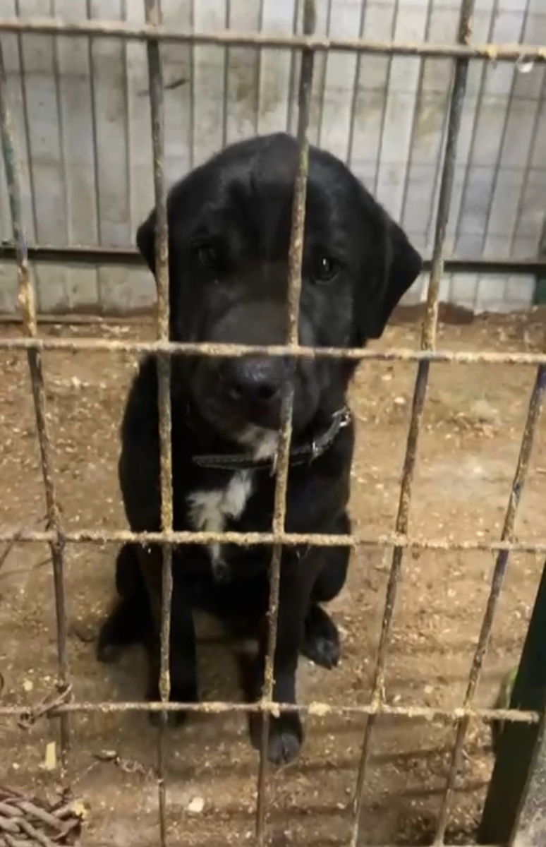 Его там больше нет…