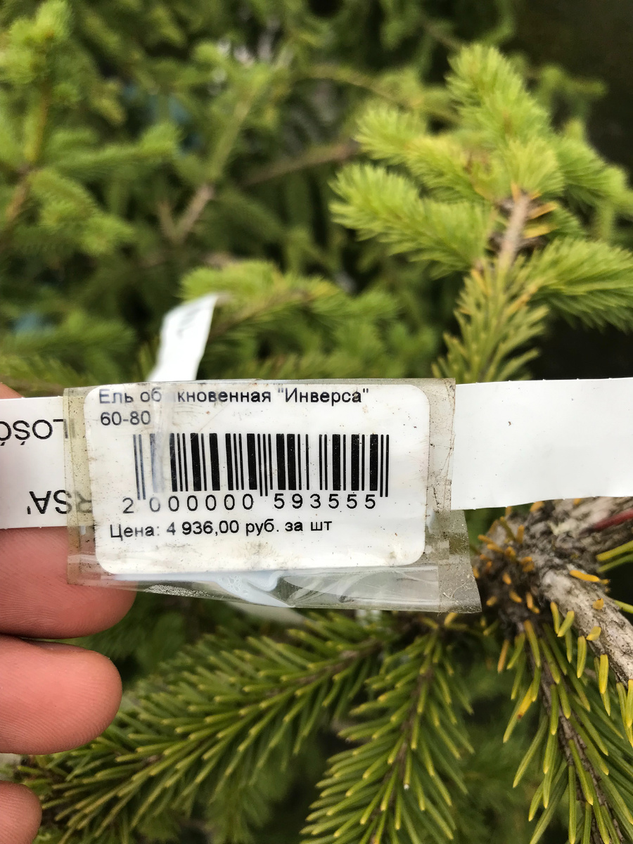 полная стоимость ели инверсы без скидки