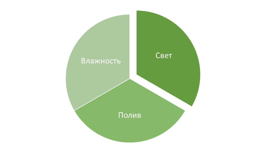 Три фактора ухода за комнаnysvb растениями зимой