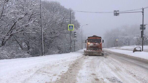    © Telegram Михаил Развожаев