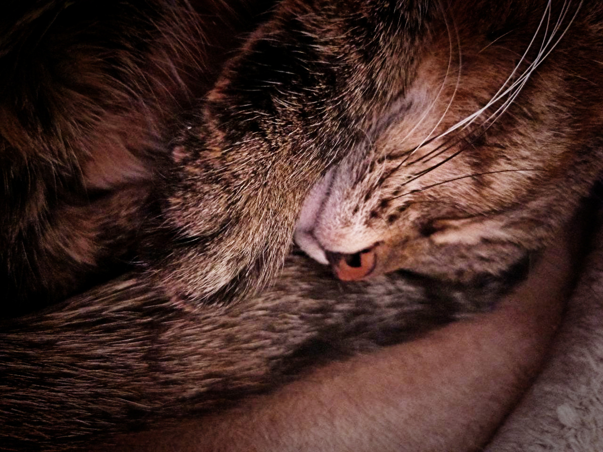 Это Кассини, для друзей Кася. Если косячит, то Пшш зараза