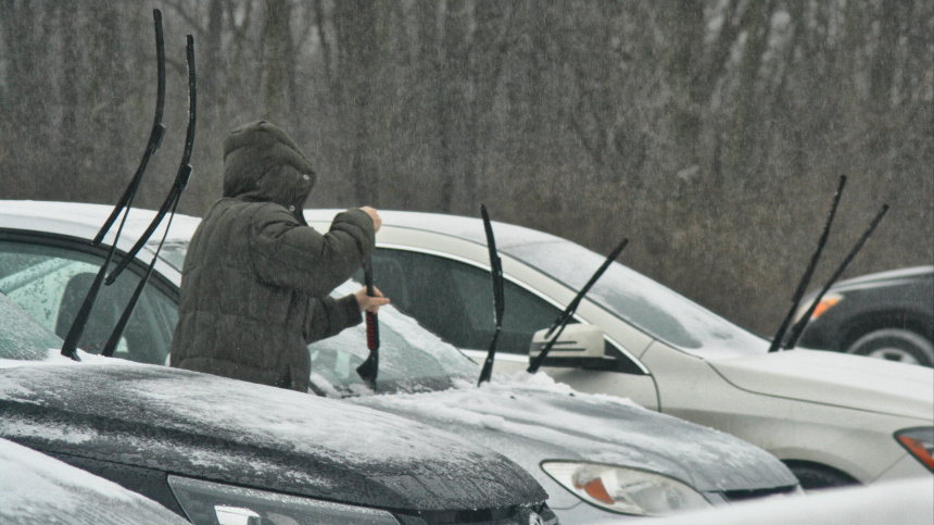    Фото: www.globallookpress.com/Creative Touch Imaging Ltd