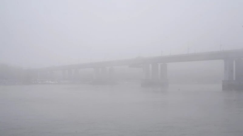     Туманная неделя в Барнауле, 2024. Дарья Беркетова