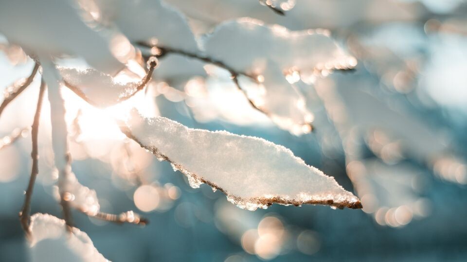    Зима, снег. Источник: unsplash.com