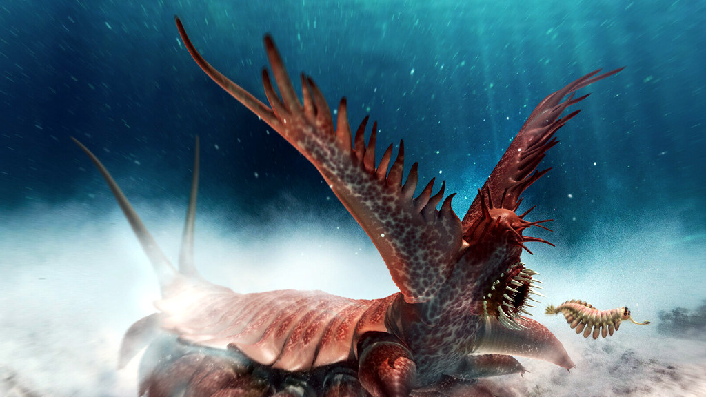 По дну кембрийского океана уже ползали двухметровые «креветки».