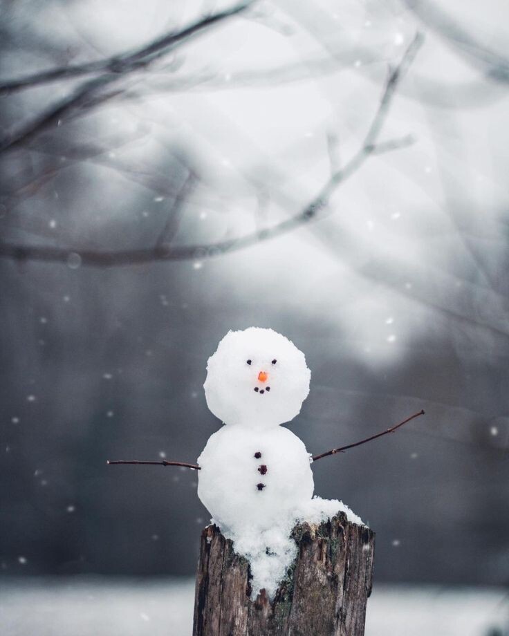 2. Приветствие.