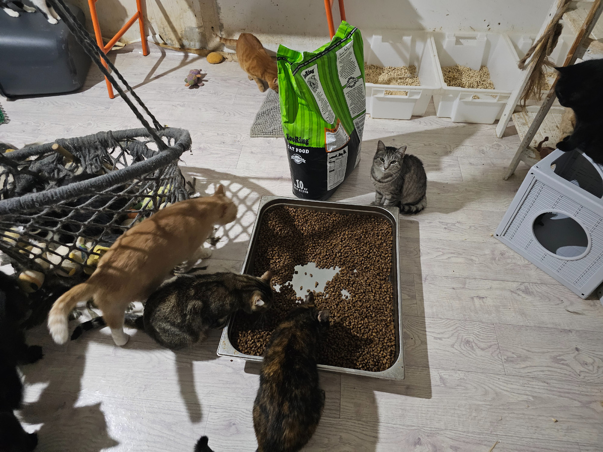 Фото автора. Ребятки.