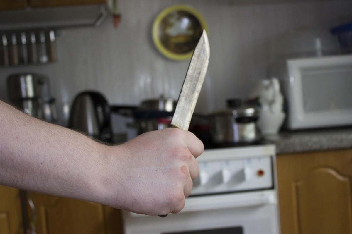 Бабушка убила внука обычным кухонным ножом.  Фото: Фото: ФедералПресс / Денис Кочкин