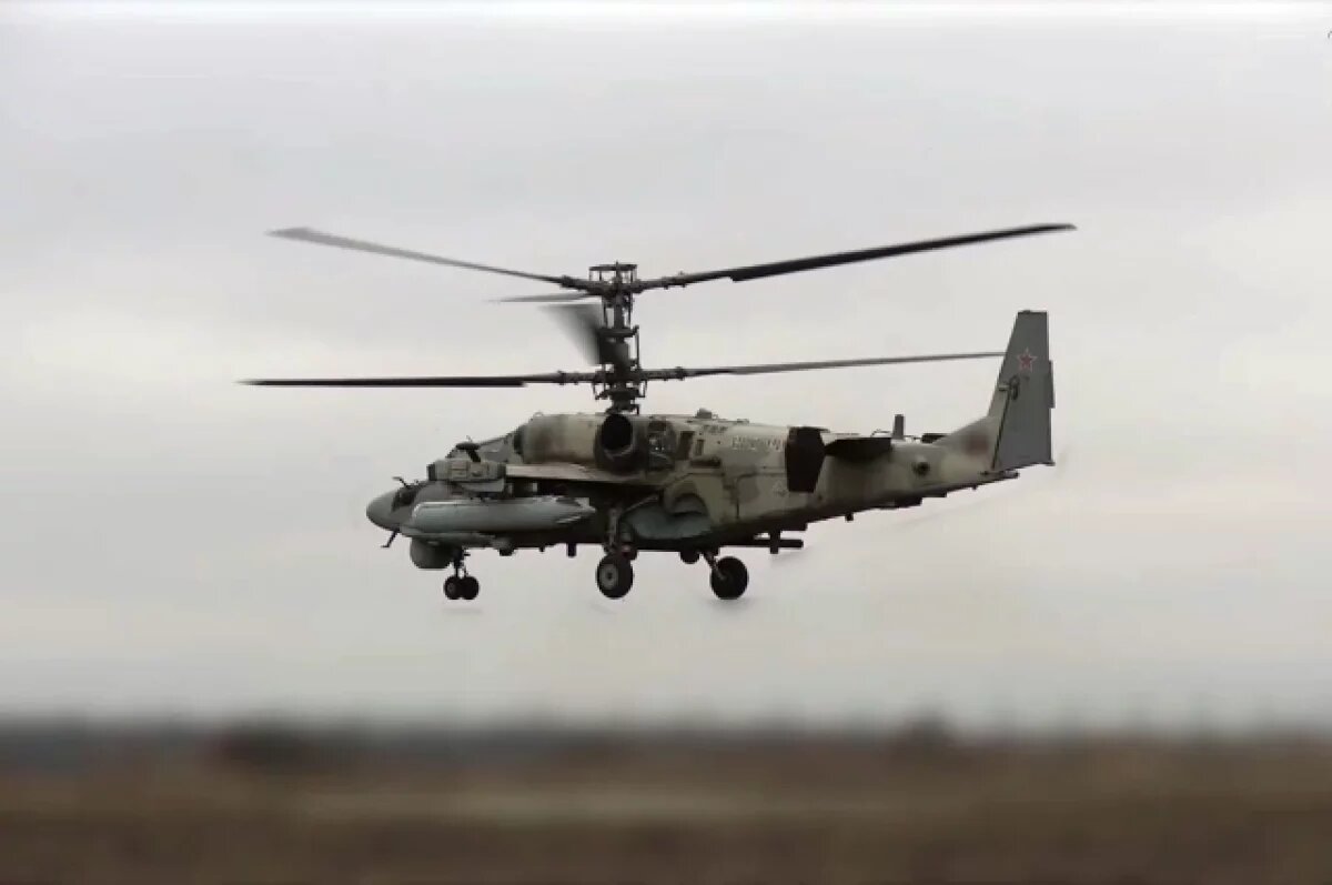    «Аллигатор» уничтожил опорный пункт ВСУ в Курской области