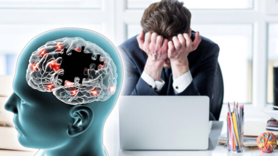    Ученые вычислили скорость мысли Андрей Галкин