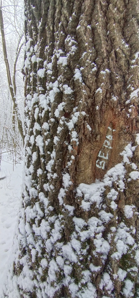 Личное фото