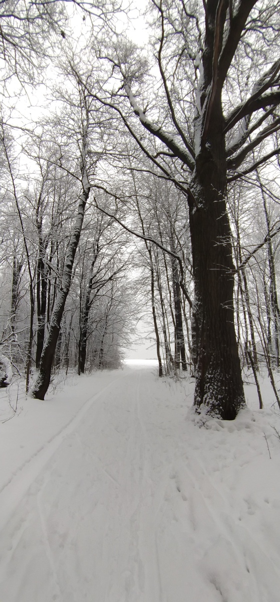 Личное фото