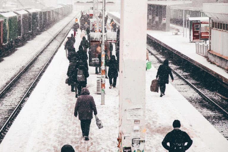    Фото: Общественная Служба Новостей Илья Федоров