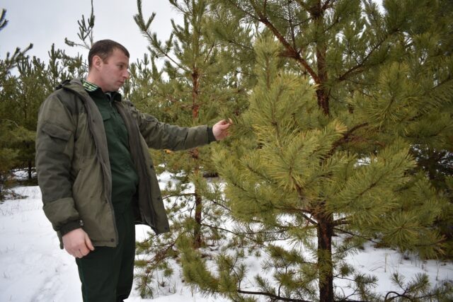     Фото: Сергей ДОРОХОВ