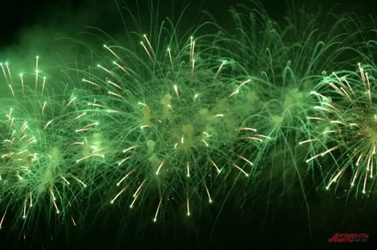    В Приуральском районе ЯНАО отменили массовые новогодние гуляния и салюты