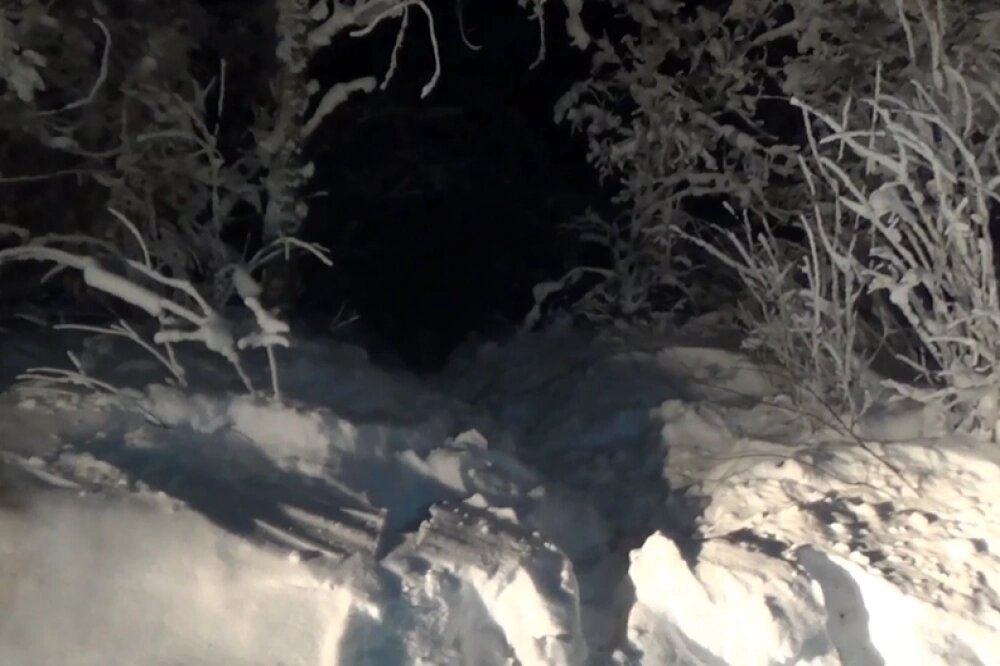    Труп экс-супруги злоумышленник спрятал в лесном массиве возле посёлка. Фото: СУ СКР по Магаданской области