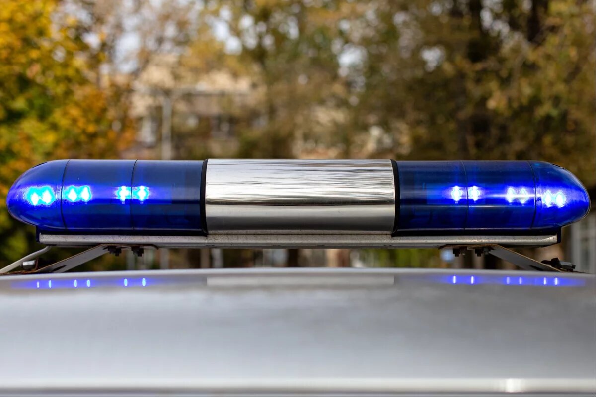    Неопознанные предметы на ростовском локомотиве оказались датчиками