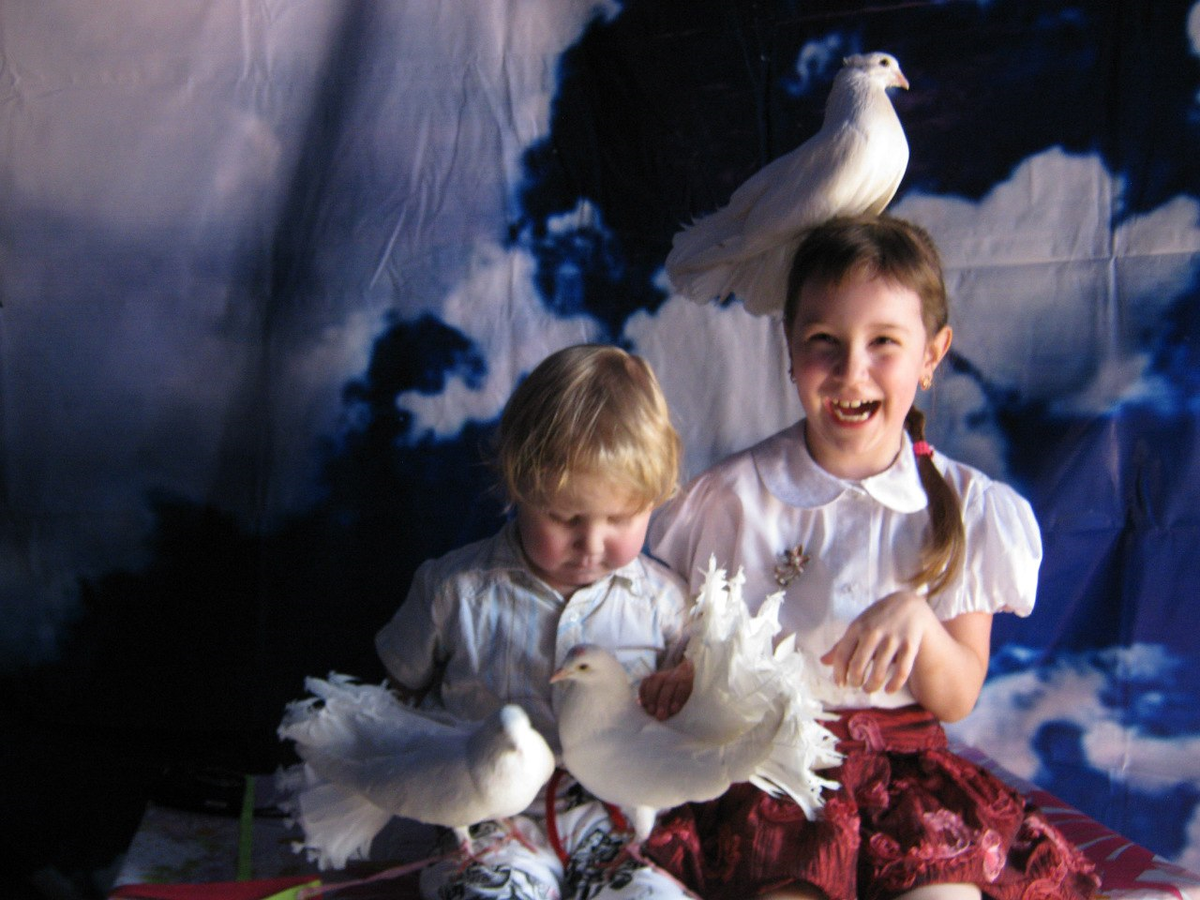 Мои дети и голуби