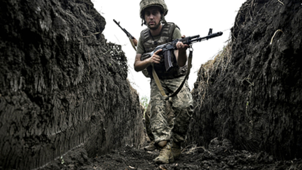    Dmytro Smolienko/Globallookpress