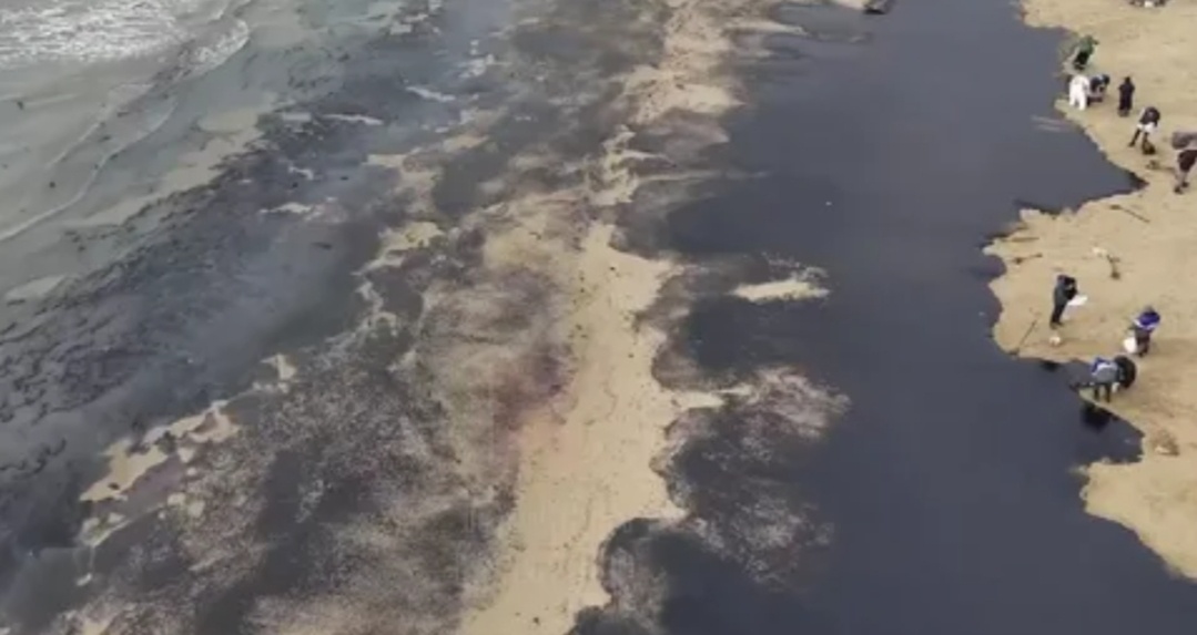 Источник: krd.gorod.space