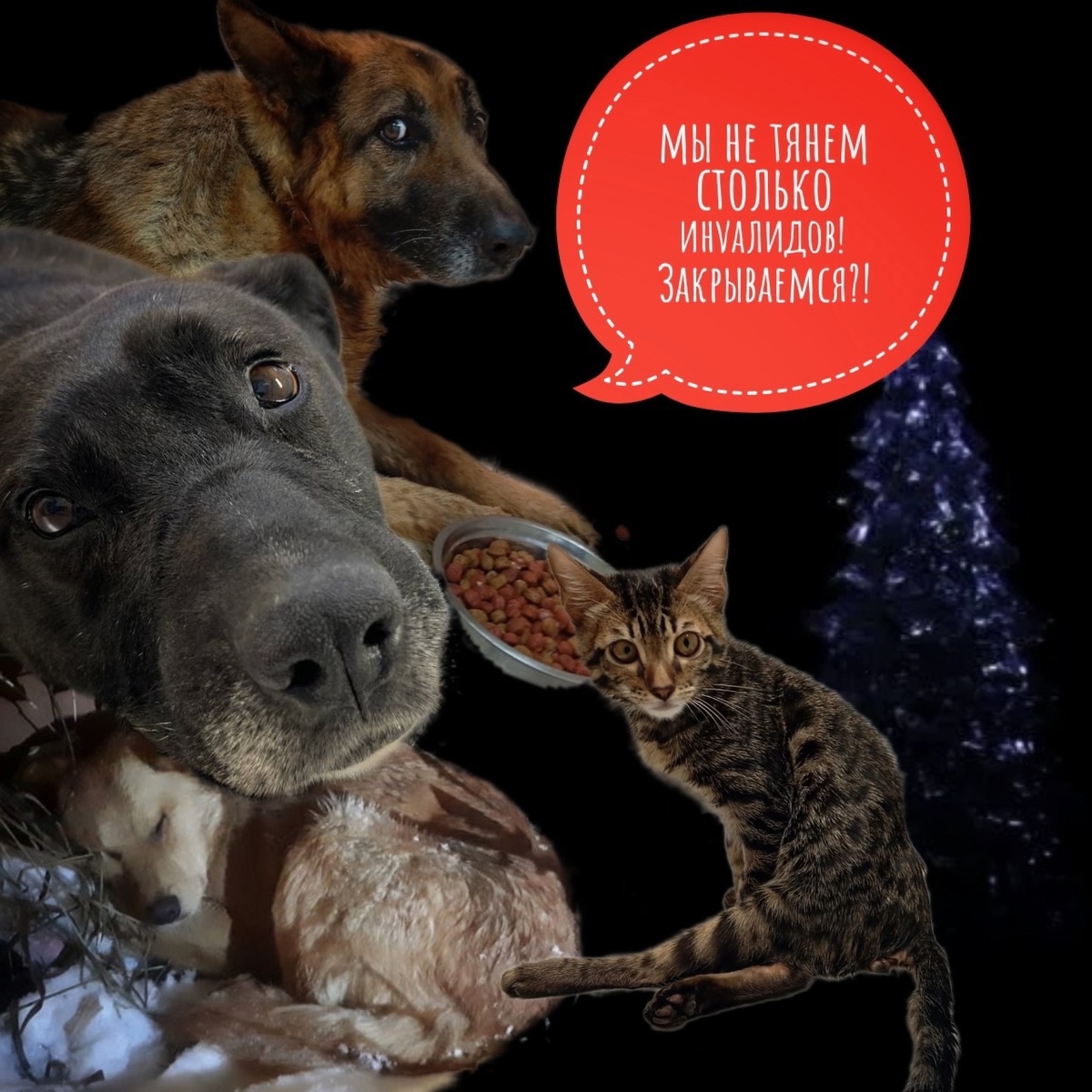 Помогите уберечь ХОСПИС от закрытия!