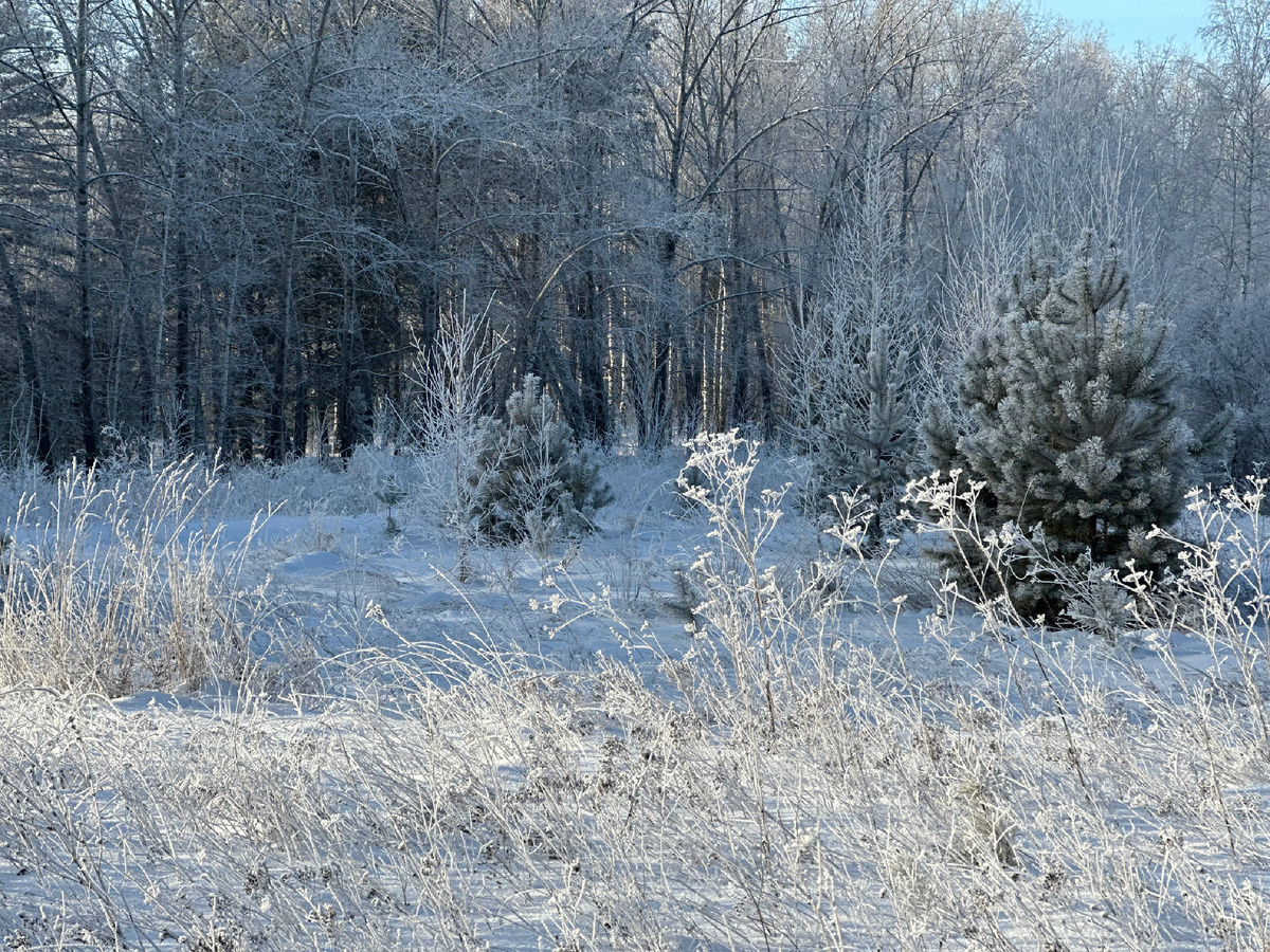 Фотография автора.