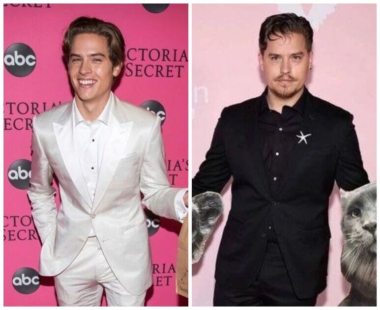     спроус фото