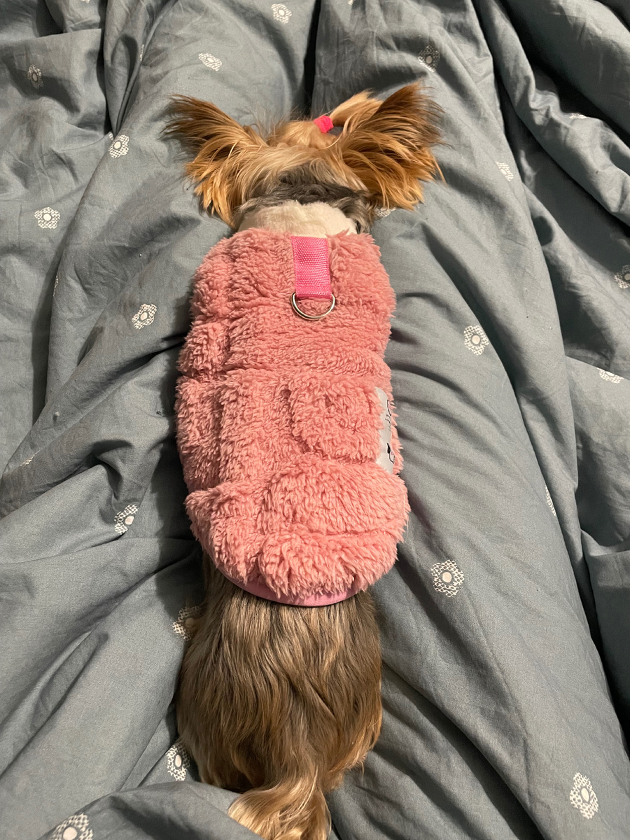 Анфису утеплили