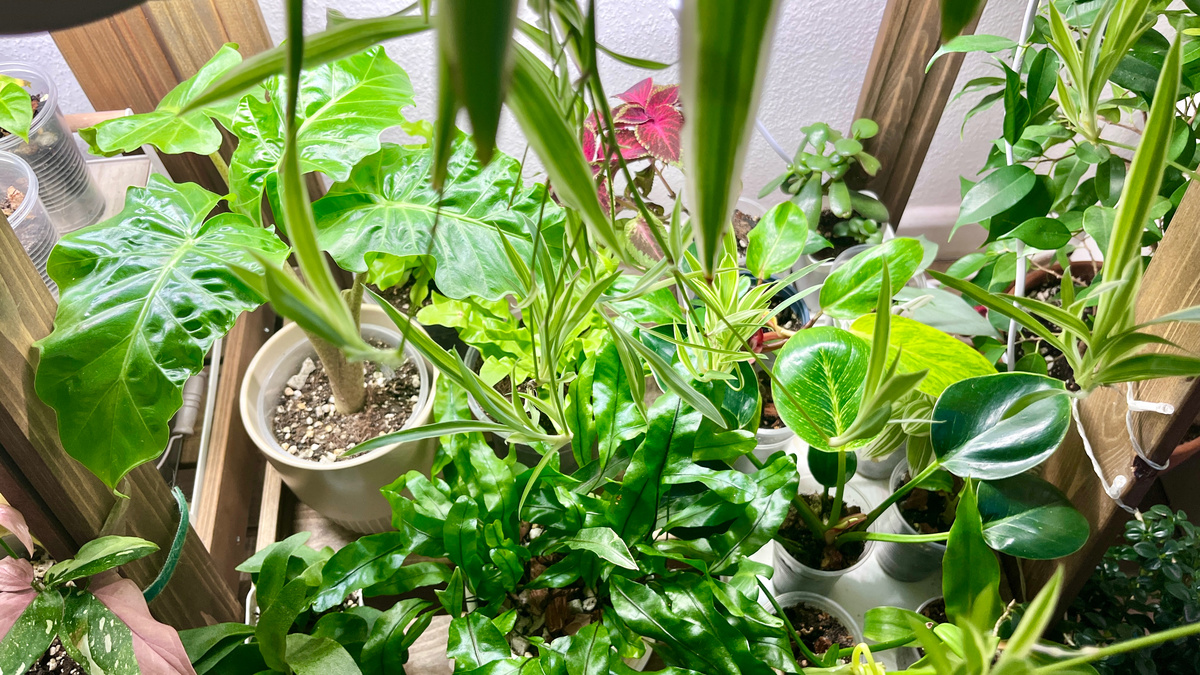 За год коллекция приятно разрослась)