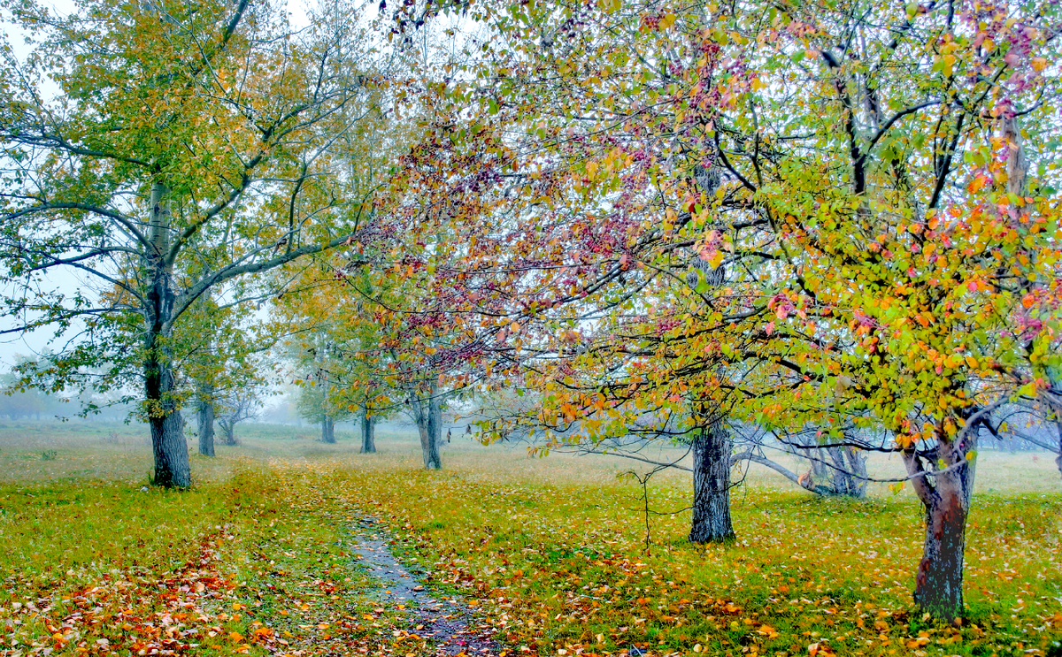 Фотография, стихотворение Василия Глуцкого