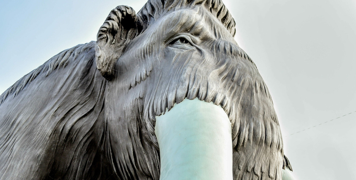 Абатский район. Фото: статья портала «Наш Урал и весь мир»: «Абатский район – восточные ворота Тюменской области»