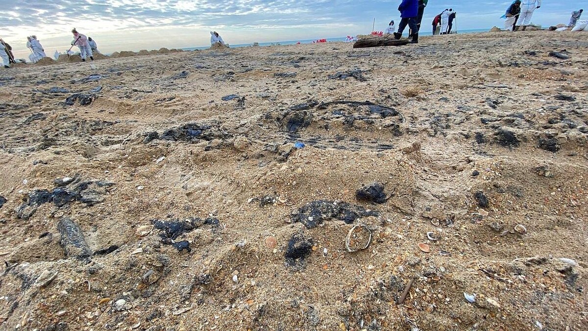    Фото: телеканал «Краснодар»