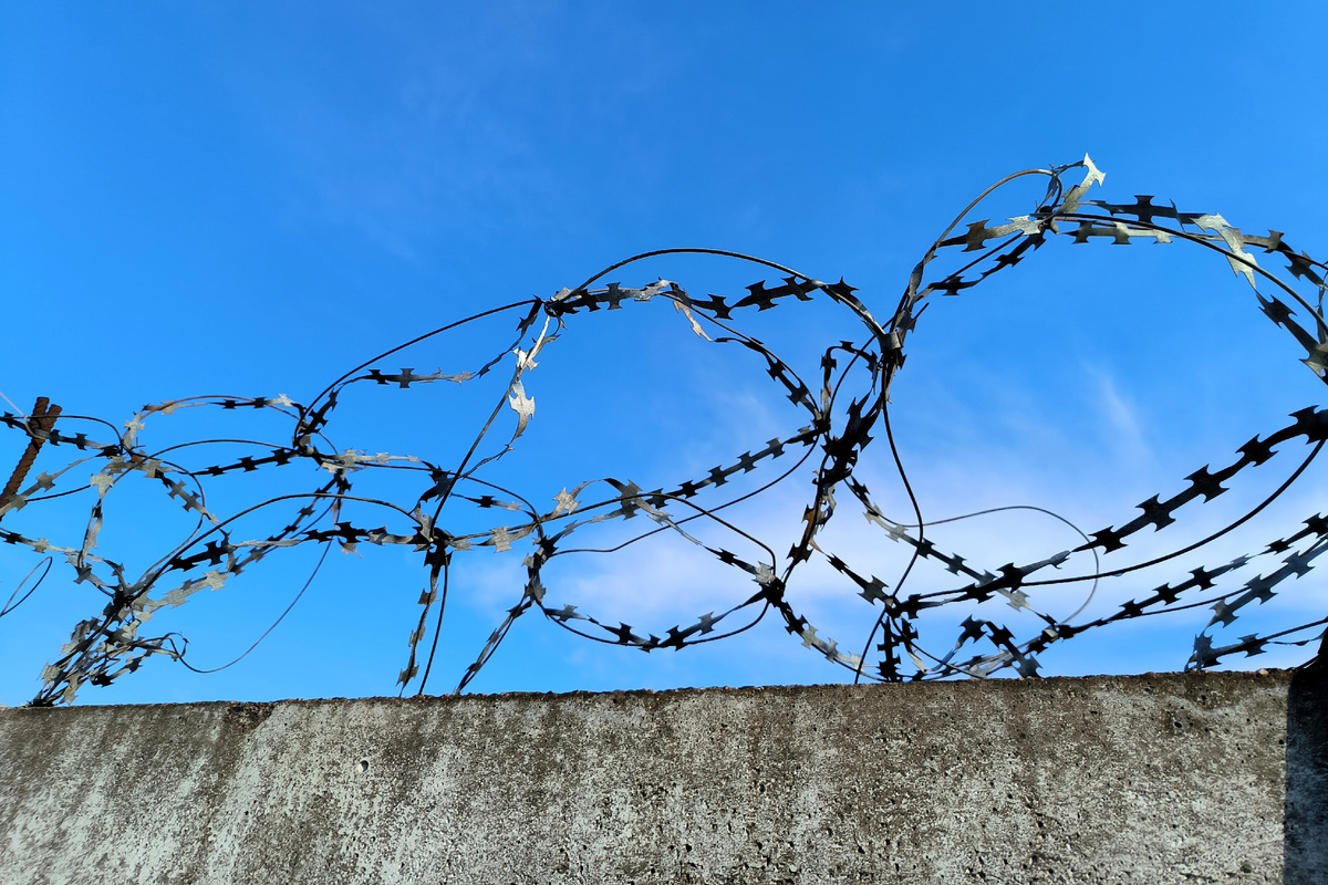 Фото: Maksim Konstantinov/Global Look Press
