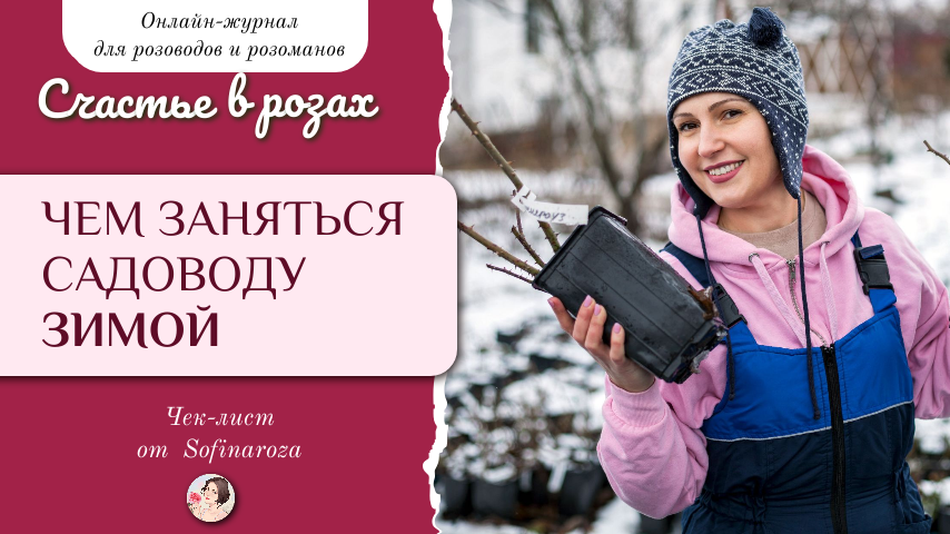 «Счастье в розах», выпуск №7, 27 декабря 2024г.