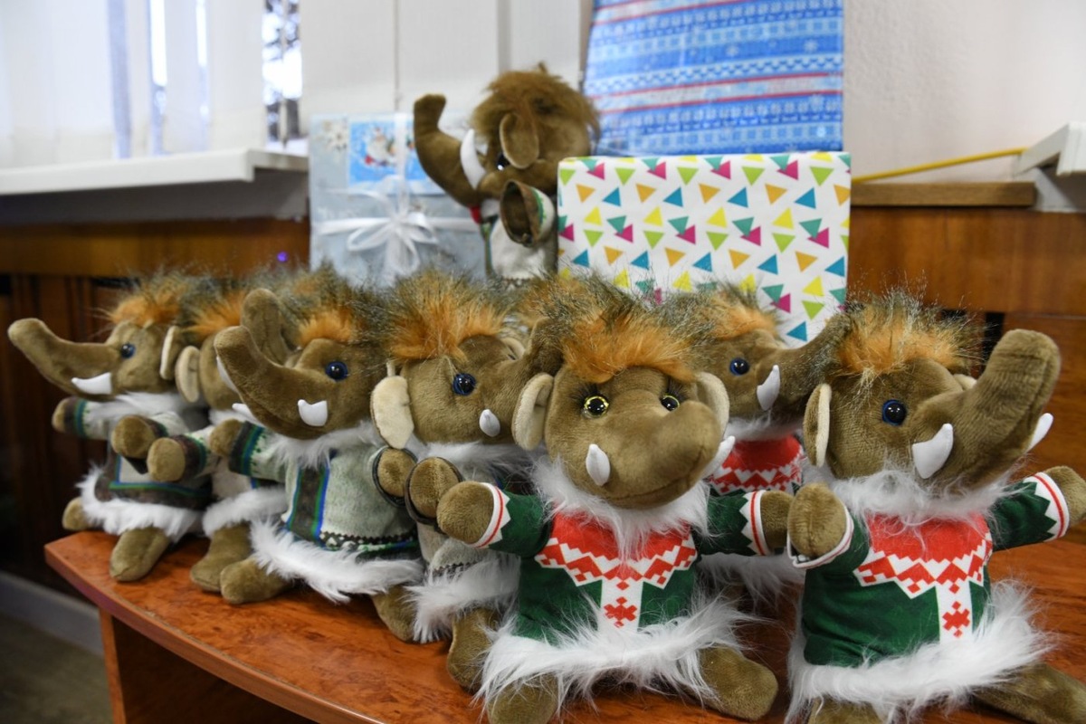    Заместители губернатора Югры исполнили новогодние мечты детей из Макеевки