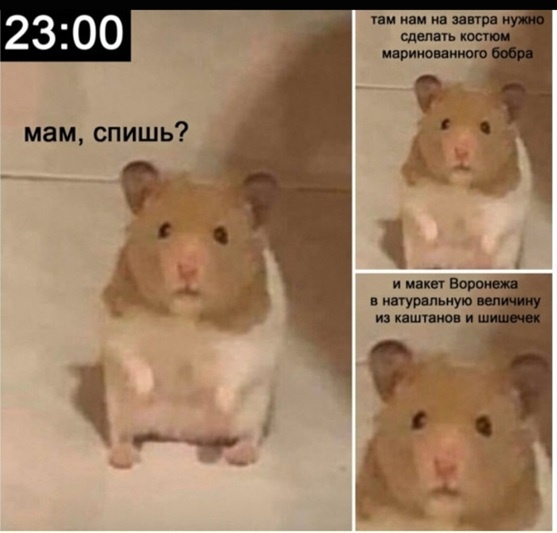    Даже родителей "домашка" может приводить в уныние