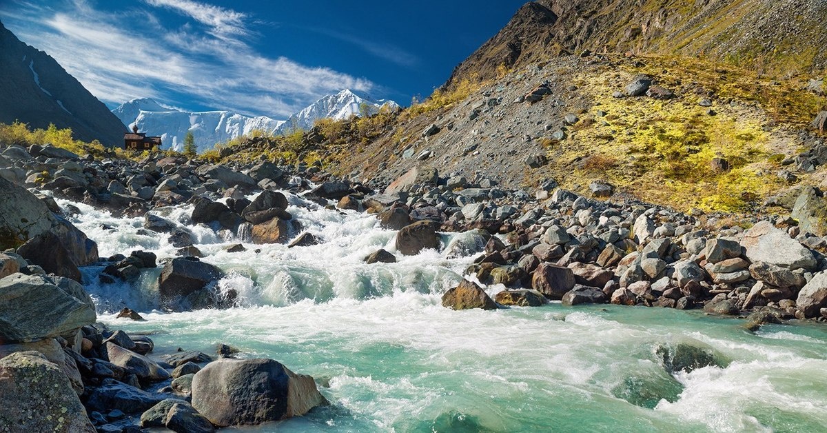 Из открытых источников