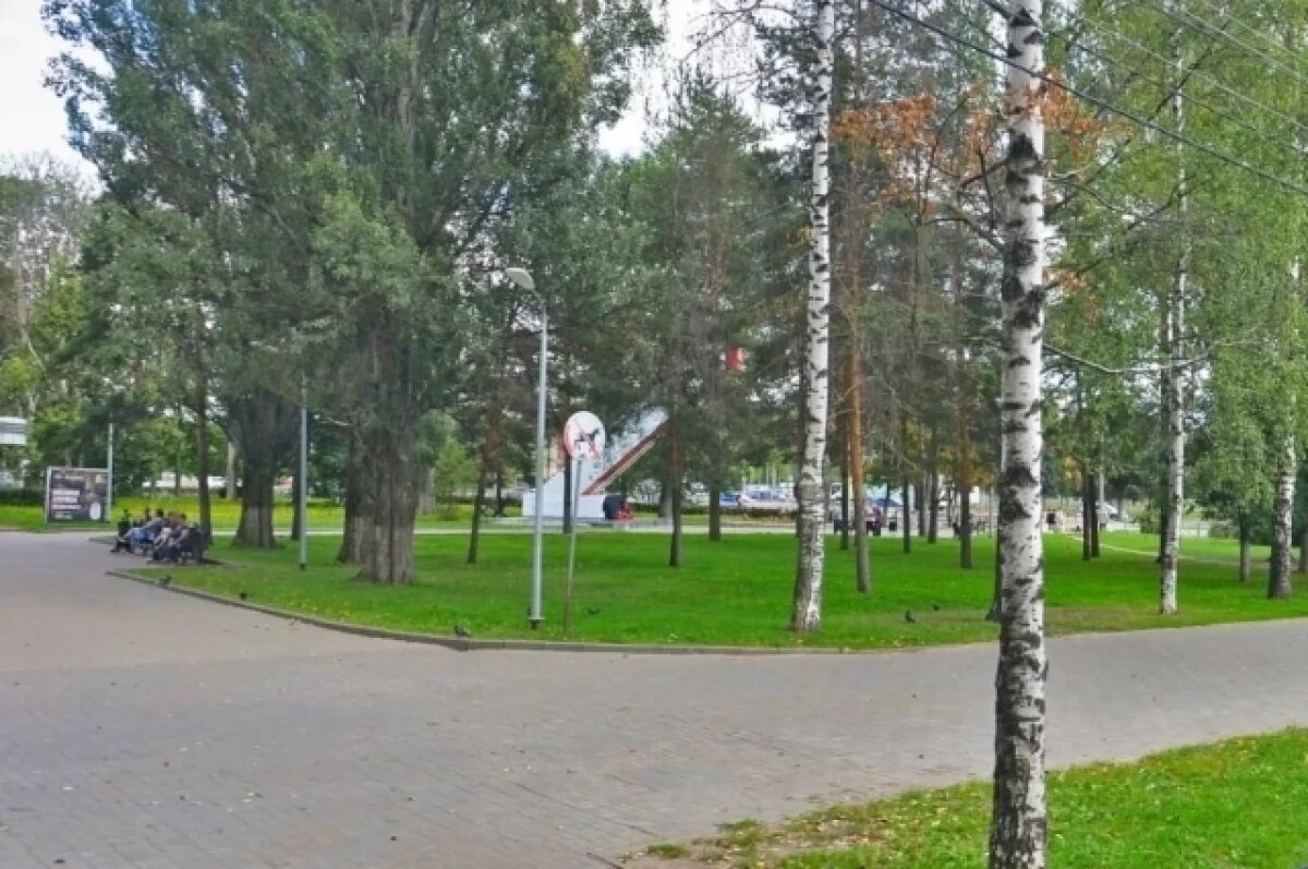    В ярославском парке 30-летия Победы не сносят незаконный павильон