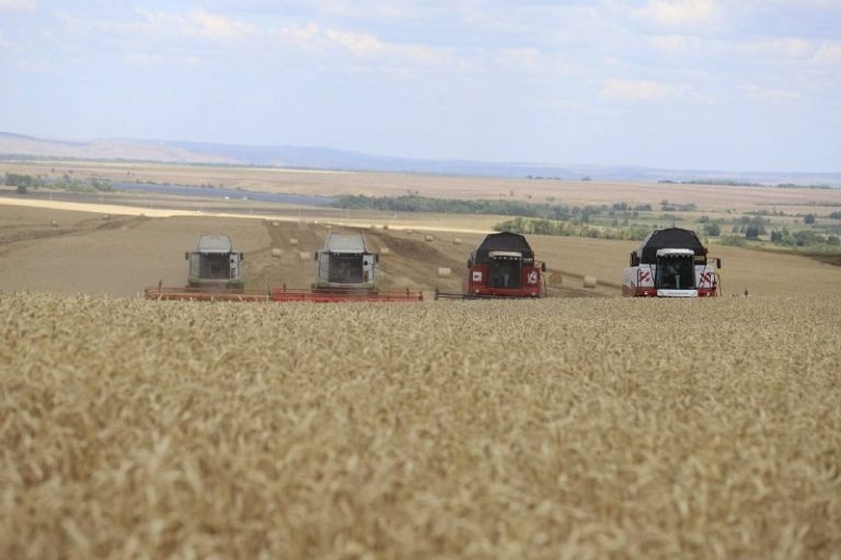    Оренбургские аграрии получили за 6 лет региональную поддержку на 758 млн рублей Алла Черкесатова