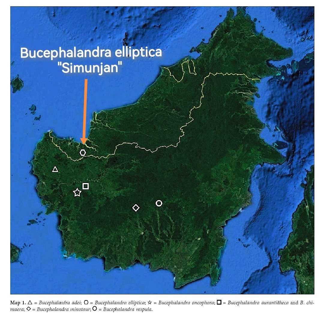 Из протолога Питера Бойса 