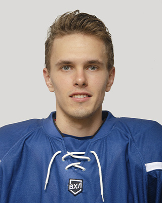 Дмитрий Возовик