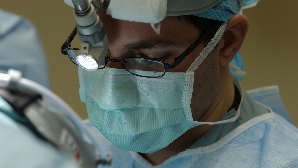    Фото: unsplash.com