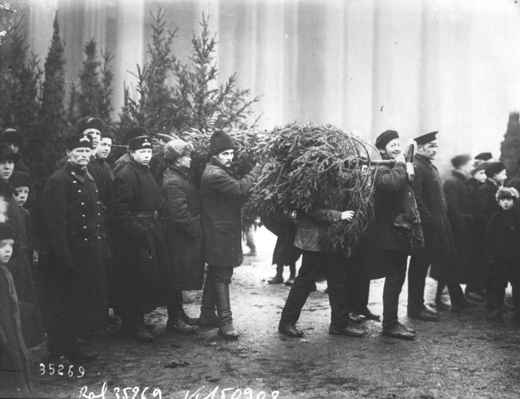 Несут ёлку. Петербург, 1913