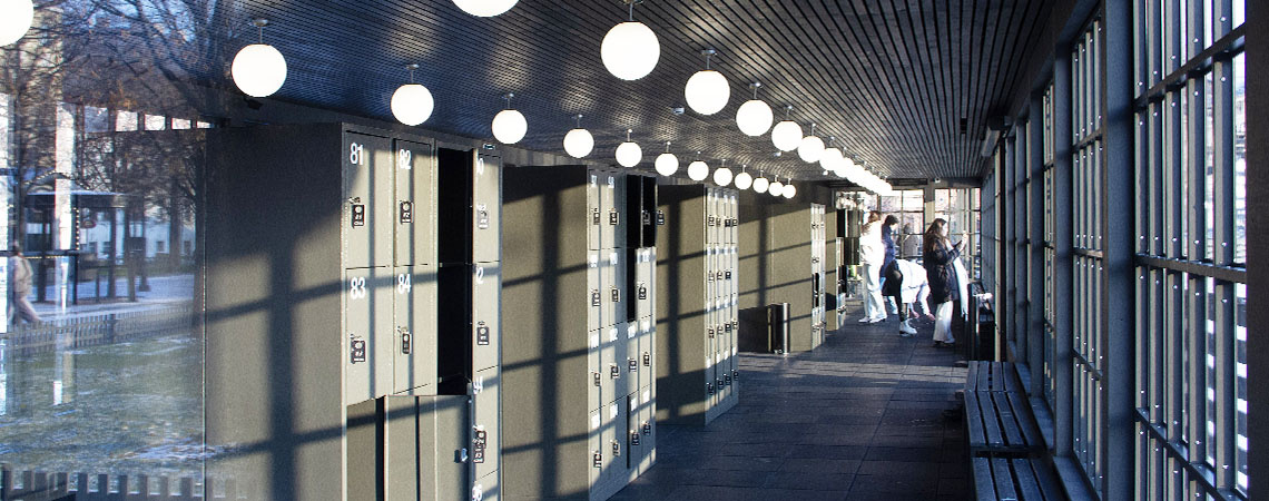 Фото взяты с сайта https://www.newhollandsp.ru/rink/