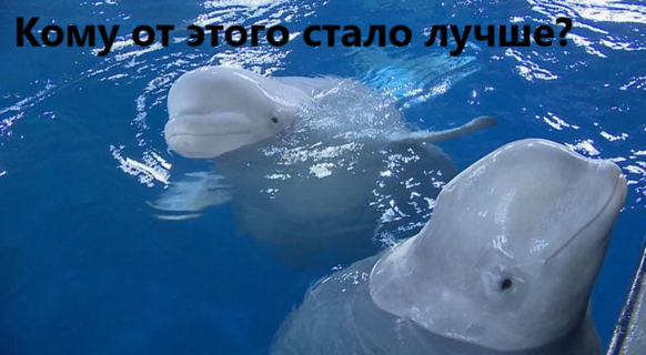 А им это надо было?