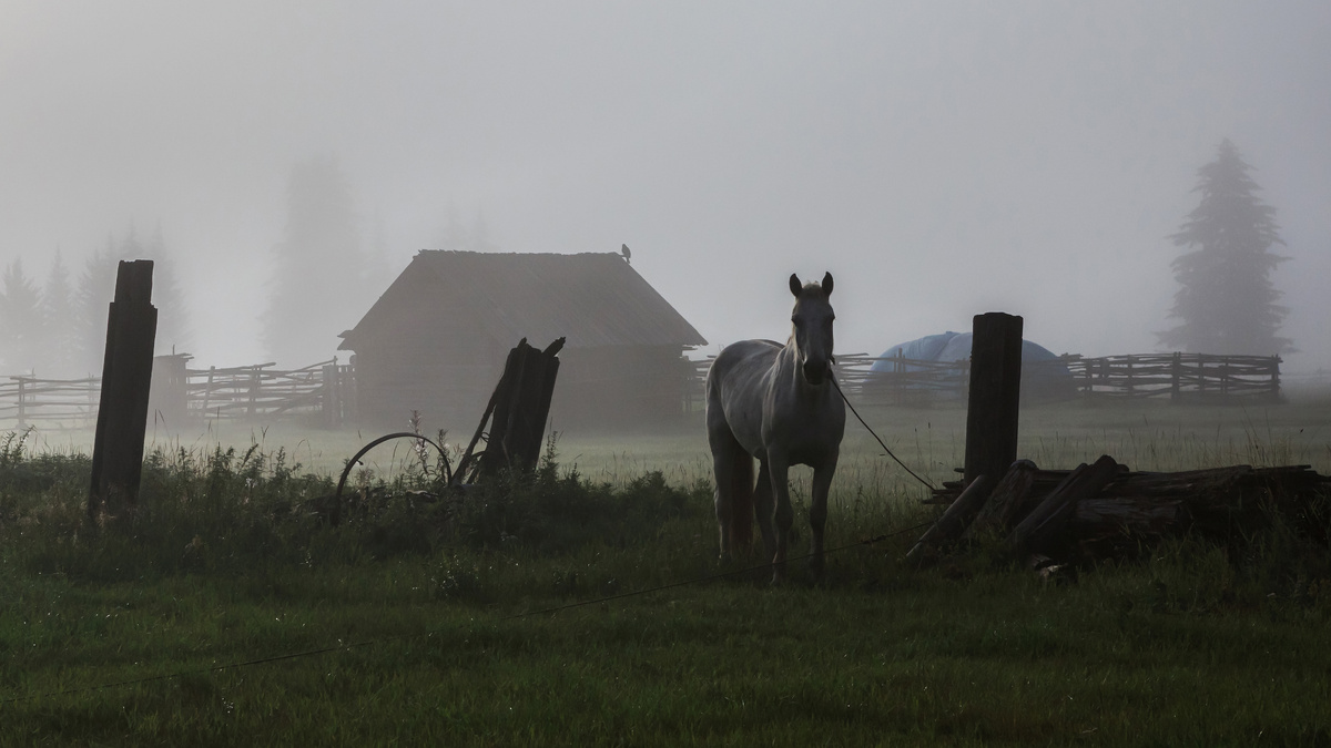 Утро в деревне Шевыкан. Фото Бориса Слепнева