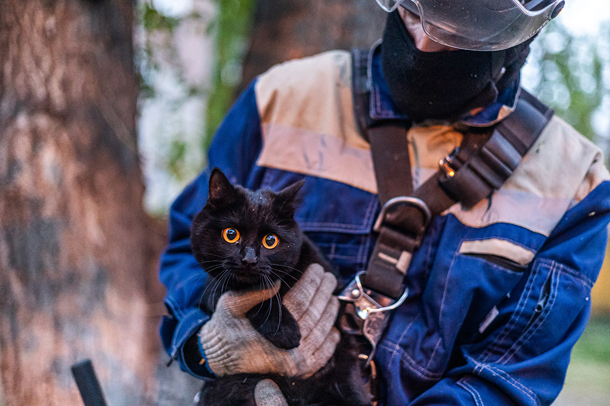 Фото: Антон Климов для ТД