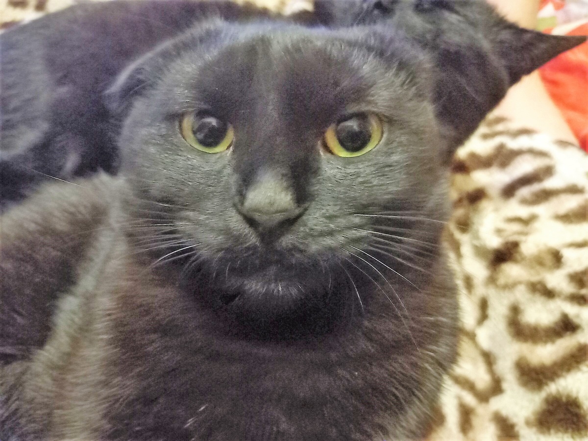 За фото Даны и заднефонового Порша благодарю Марину АБРОЧНОВУ)