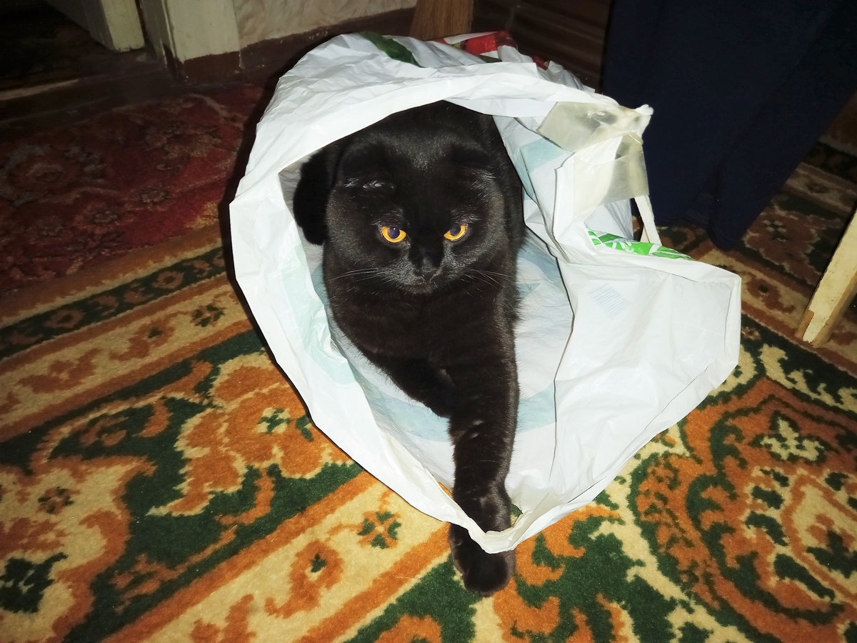 Благодарю  Марину АБРОЧНОВУ за фото)