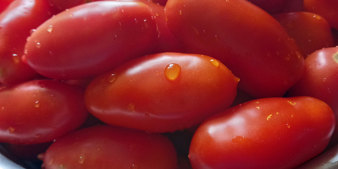 Экономьте силы: 5 сортов томатов, которых хватит для всего